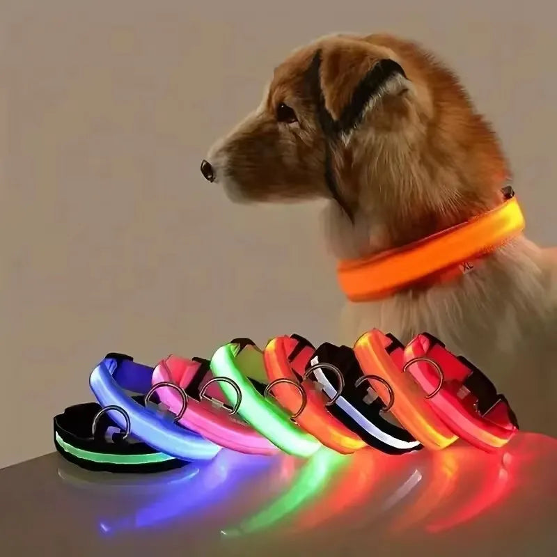 LED Pet Dog Collar